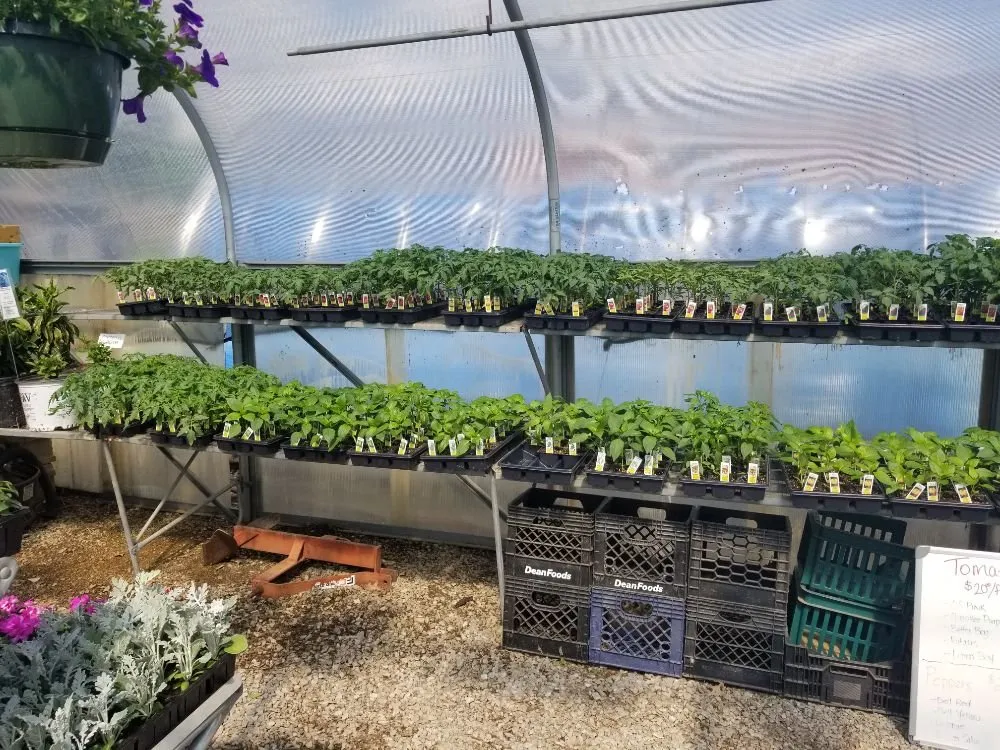 Trusted yard cleanup service for residential properties in Shelbyville, KY by Shelby Nursery & Garden Center