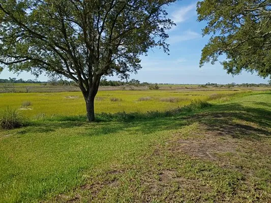 Shelby3 Landscape and Property Service