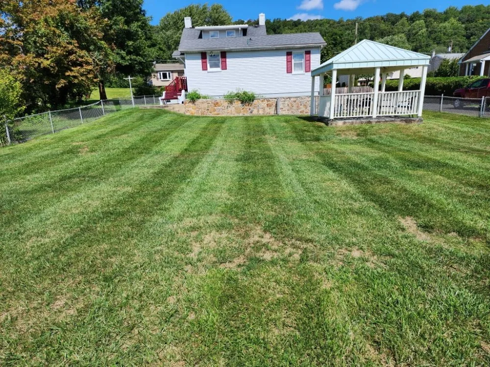 Trusted residential landscaping experts serving Allentown, PA - Shelby's Lawn Solutions