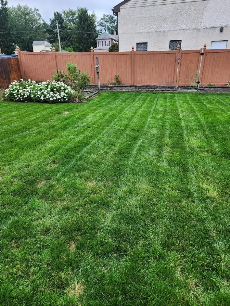 Trusted landscaping services experts serving Allentown, PA - Shelby's Lawn Solutions