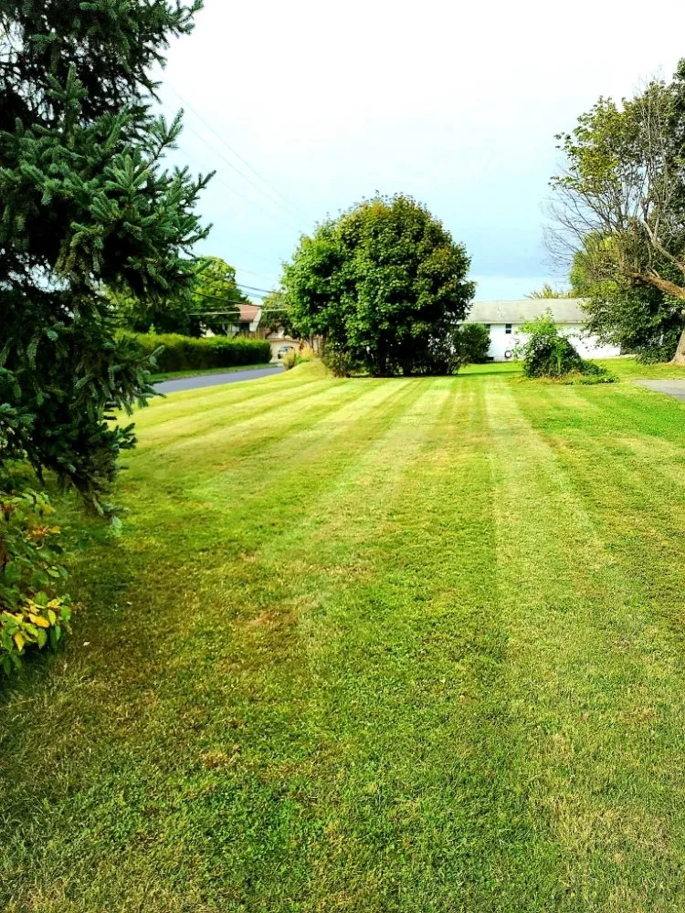 Professional garden landscaping for homes across Allentown, PA - Shelby's Lawn Solutions