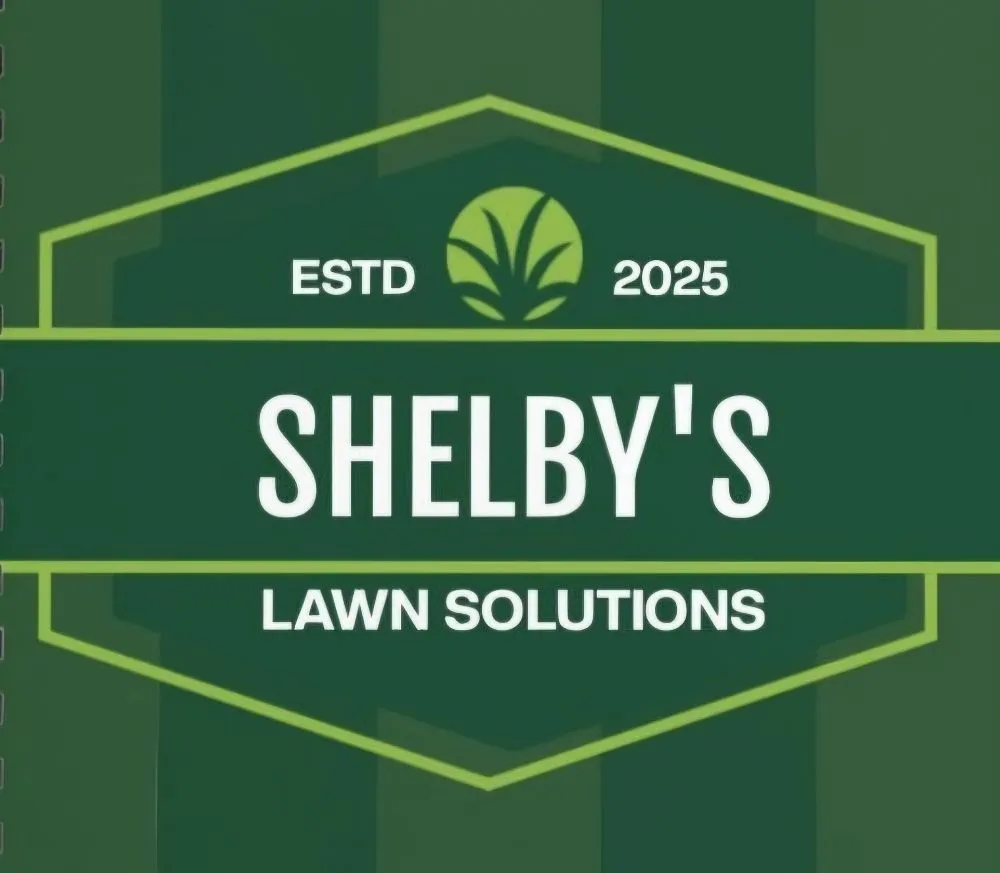 Professional yard cleanup service in Allentown, PA - Shelby's Lawn Solutions