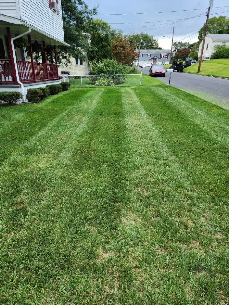 Professional landscape installation experts serving Allentown, PA - Shelby's Lawn Solutions