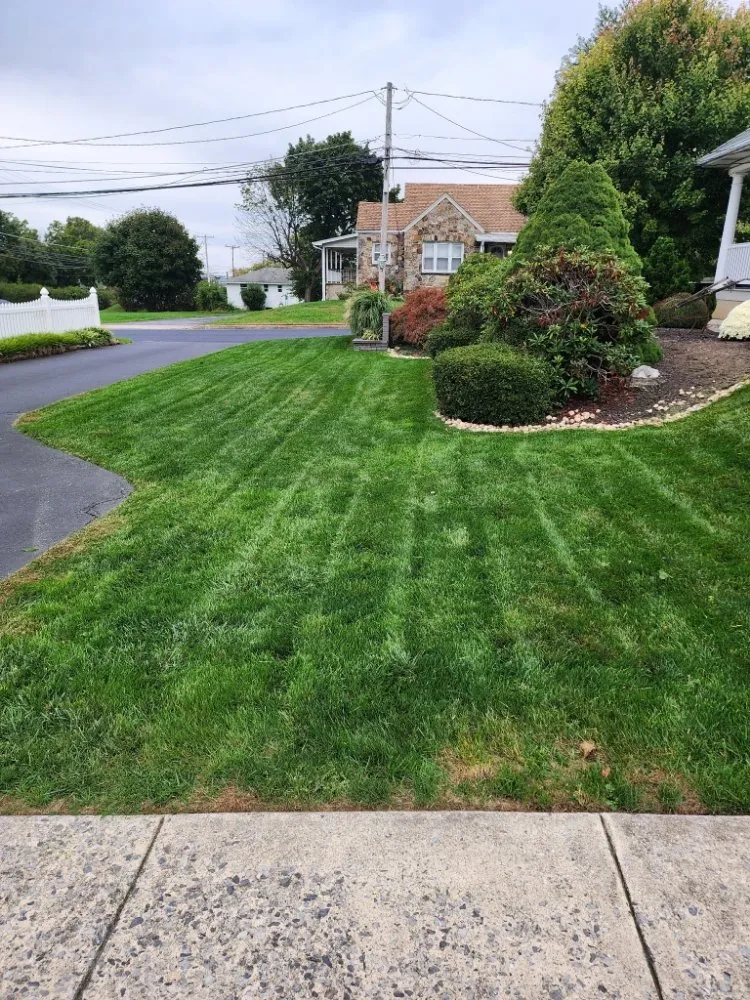 Custom lawn care service for beautiful yards in Allentown, PA by Shelby's Lawn Solutions