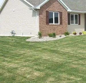 Local lawn mowing service for year-round maintenance in Conway, AR by Sheldon Lawn Care