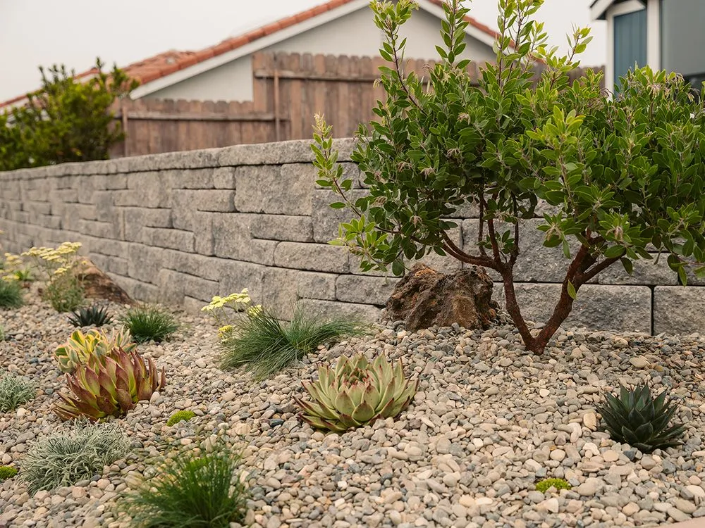 Reliable lawn mowing service in Arroyo Grande, CA by Shellback Landscapes