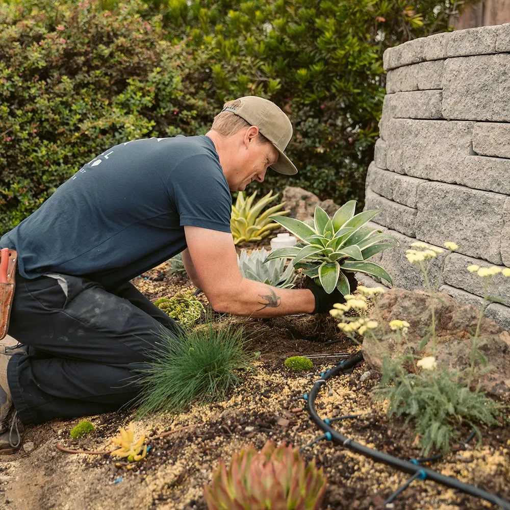 Trusted residential landscaping near you across Arroyo Grande, CA - Shellback Landscapes