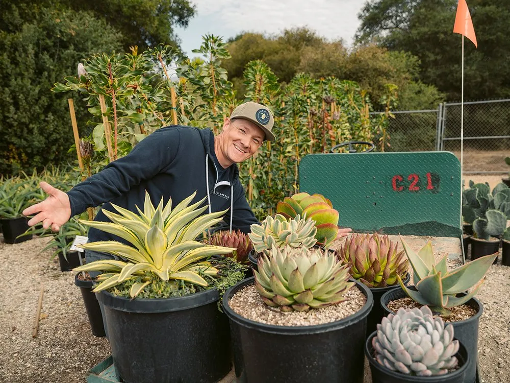 Affordable landscaping services in Arroyo Grande, CA by Shellback Landscapes