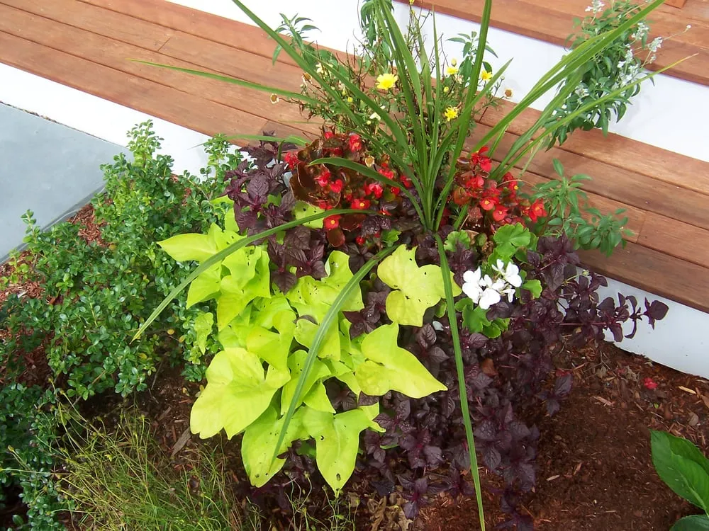 Reliable lawn mowing service for year-round maintenance across Mashpee, MA - Shelley's Garden Design & Consulting