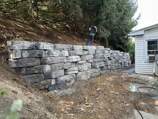 Shellhamers Four Seasons