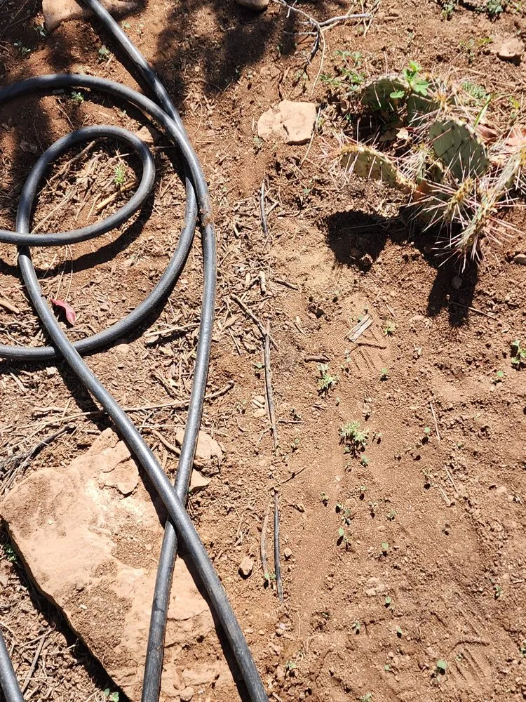 Trusted landscape design in Albuquerque, NM - Shelly Landscaping