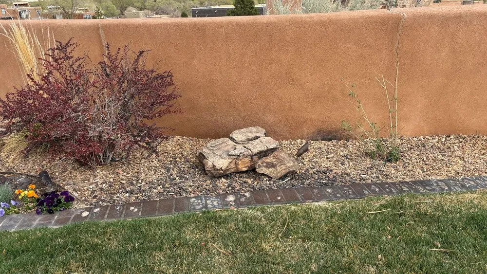 Affordable landscape installation for residential properties in Albuquerque, NM by Shelly Landscaping