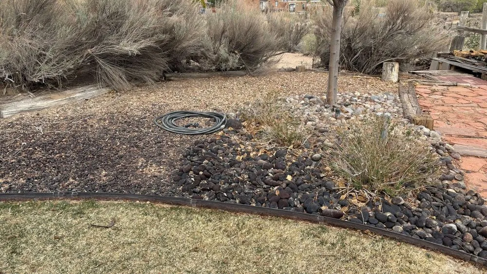 Trusted landscape design for homes in Albuquerque, NM by Shelly Landscaping