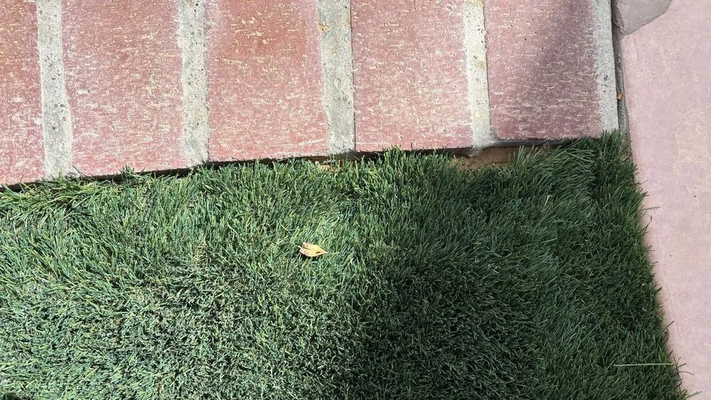 Professional garden landscaping in Albuquerque, NM by Shelly Landscaping