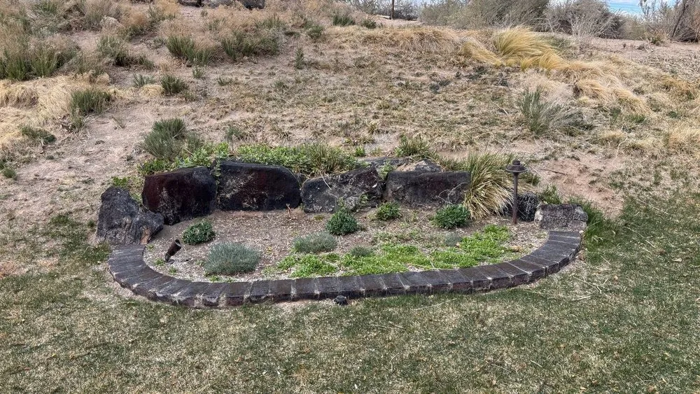 Reliable landscape installation for year-round maintenance across Albuquerque, NM - Shelly Landscaping