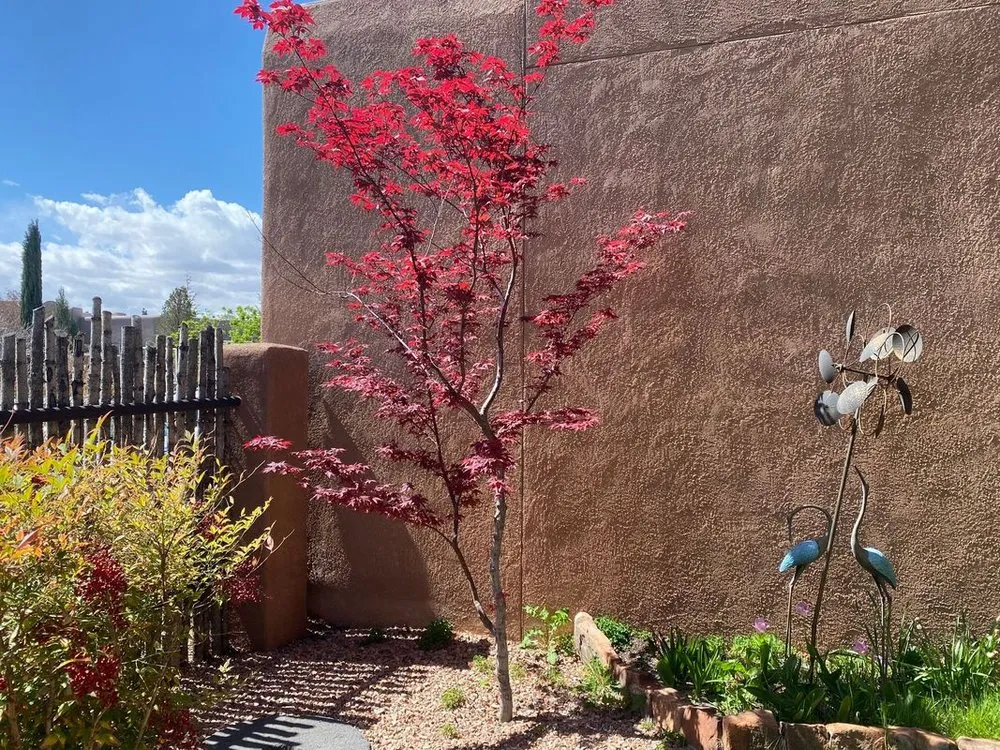 Custom residential landscaping for residential properties in Albuquerque, NM by Shelly Landscaping