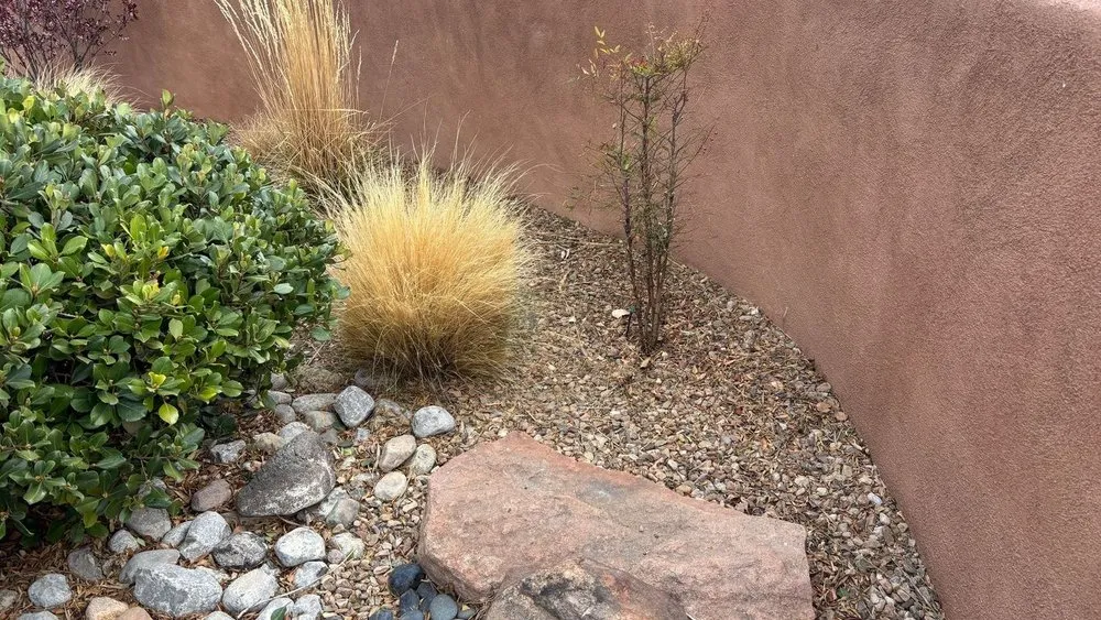 Professional outdoor landscaping in Albuquerque, NM by Shelly Landscaping