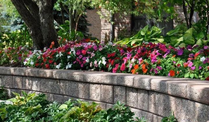 Expert yard cleanup service for year-round maintenance across Northbrook, IL - Shelly's Landscape Contractors