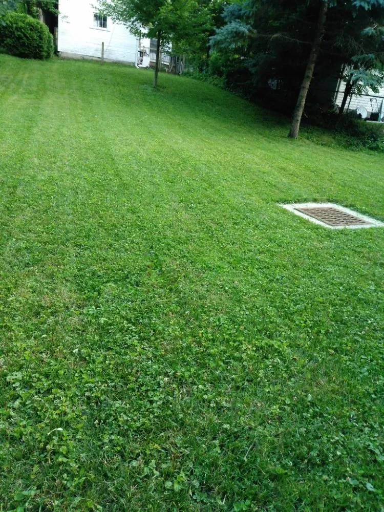 Local yard maintenance experts serving Delaware, OH - Shelly's Yard And Home Magic