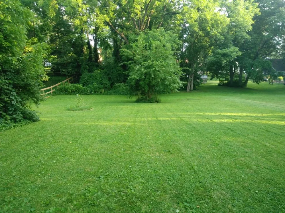 Top-rated landscape design experts serving Delaware, OH - Shelly's Yard And Home Magic