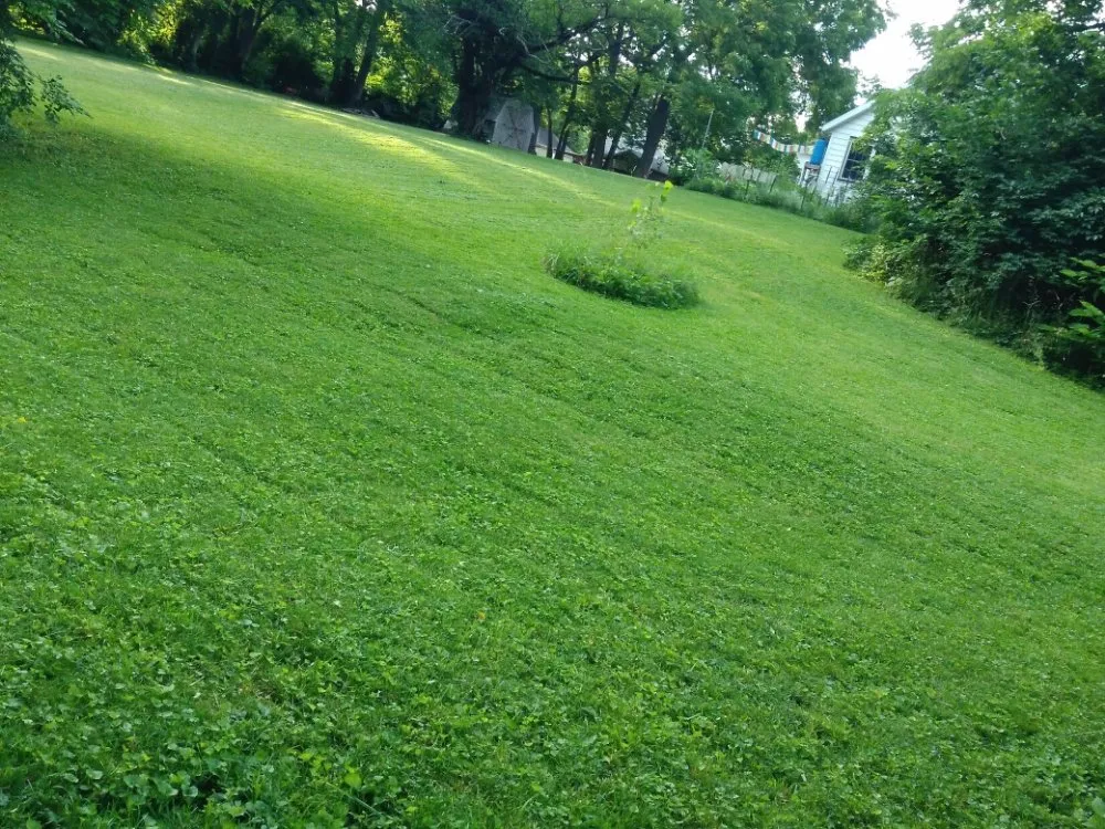 Trusted garden landscaping for beautiful yards in Delaware, OH by Shelly's Yard And Home Magic