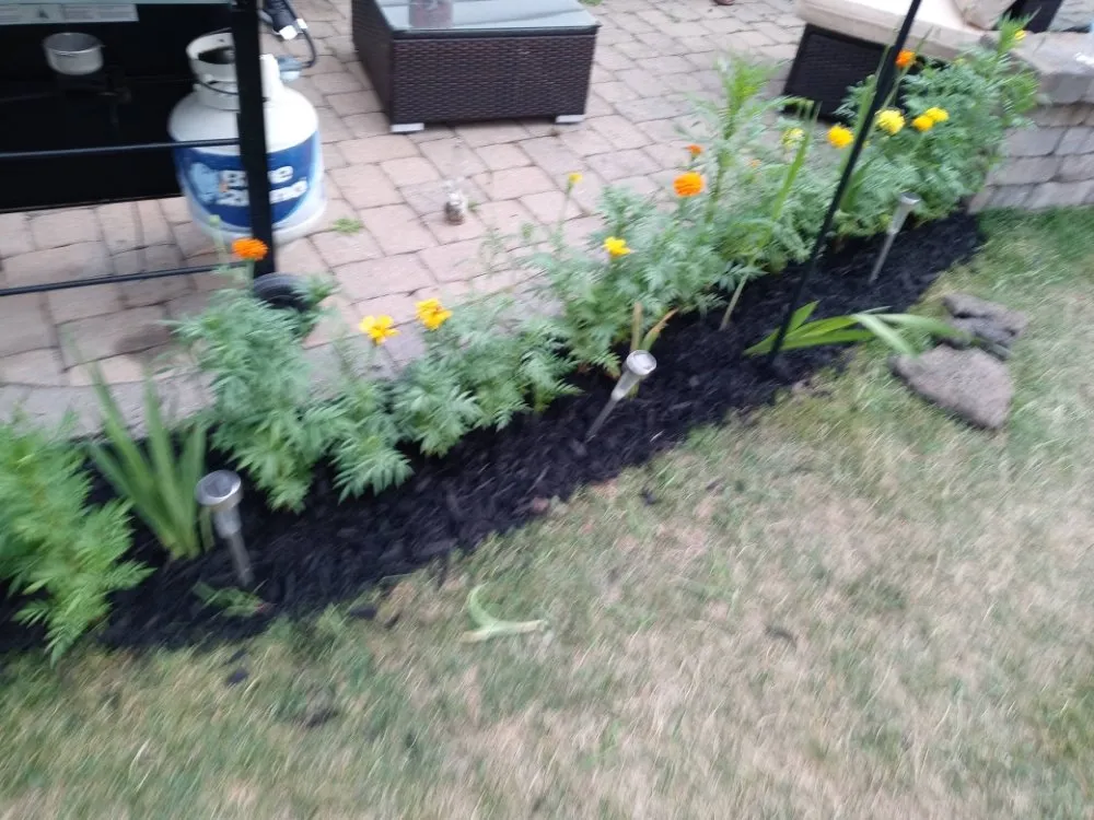 Trusted lawn care service in Delaware, OH by Shelly's Yard And Home Magic