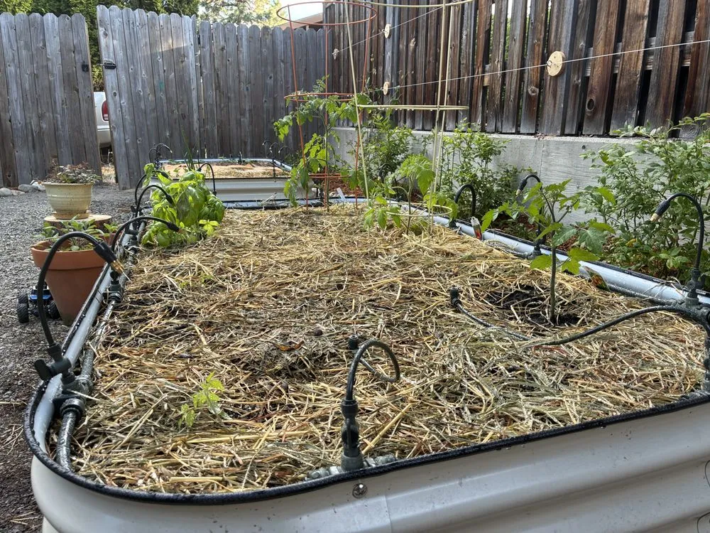 Reliable lawn mowing service in Leavenworth, WA - Shelter & Seeds