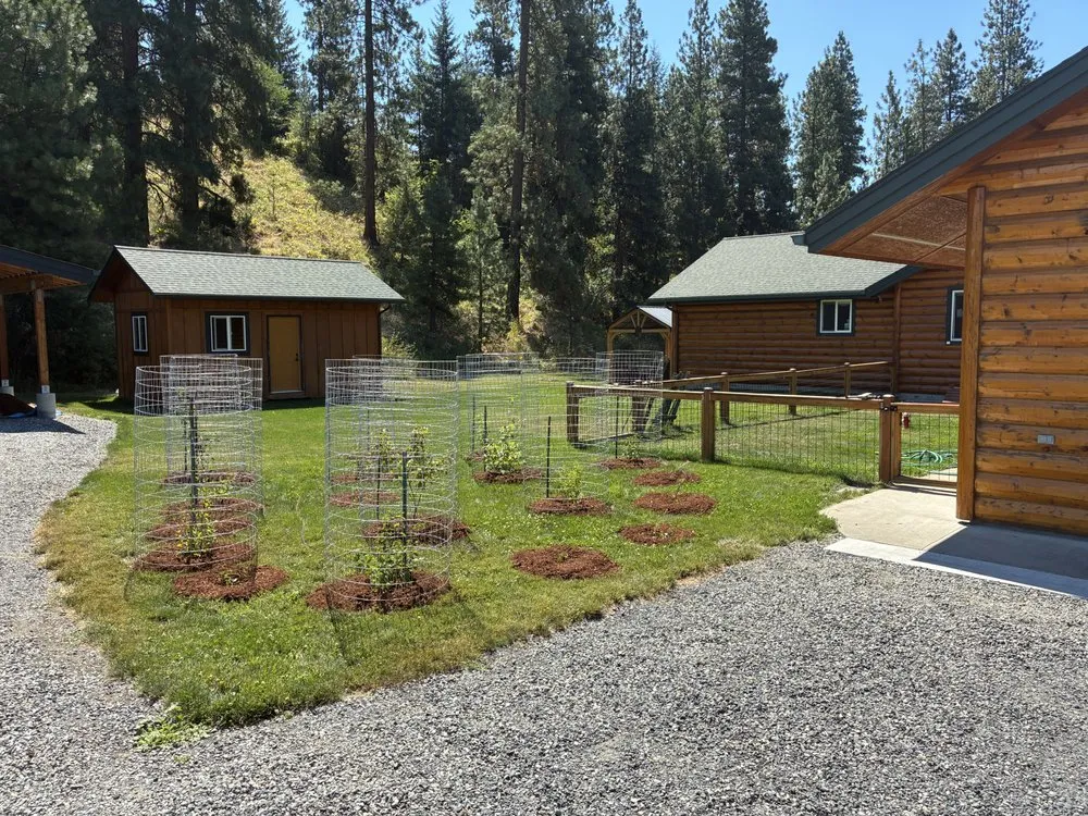 Local yard cleanup service experts serving Leavenworth, WA - Shelter & Seeds