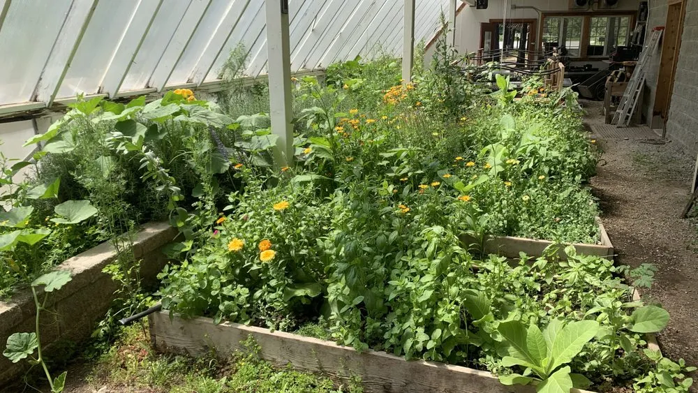 Professional landscape design experts serving Leavenworth, WA - Shelter & Seeds