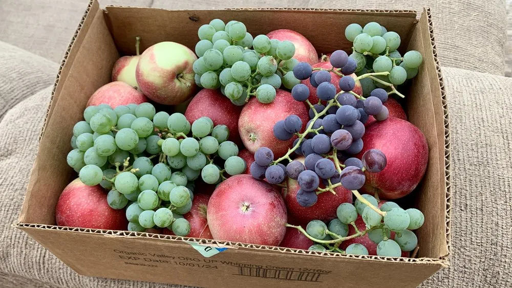 Reliable yard cleanup service experts serving Leavenworth, WA - Shelter & Seeds