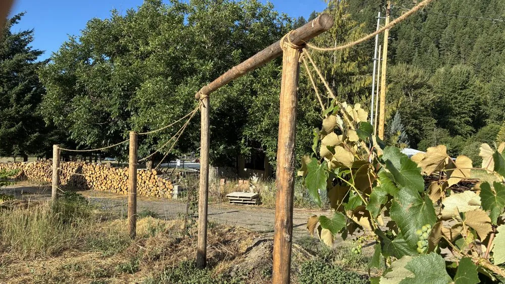 Top-rated landscaping services for outdoor upgrades across Leavenworth, WA - Shelter & Seeds