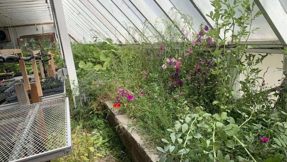 Trusted garden landscaping for homes across Leavenworth, WA - Shelter & Seeds