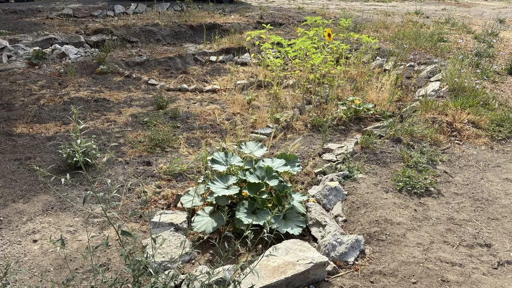 Trusted landscape design in Leavenworth, WA - Shelter & Seeds