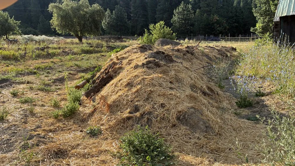 Reliable lawn mowing service with custom design across Leavenworth, WA - Shelter & Seeds