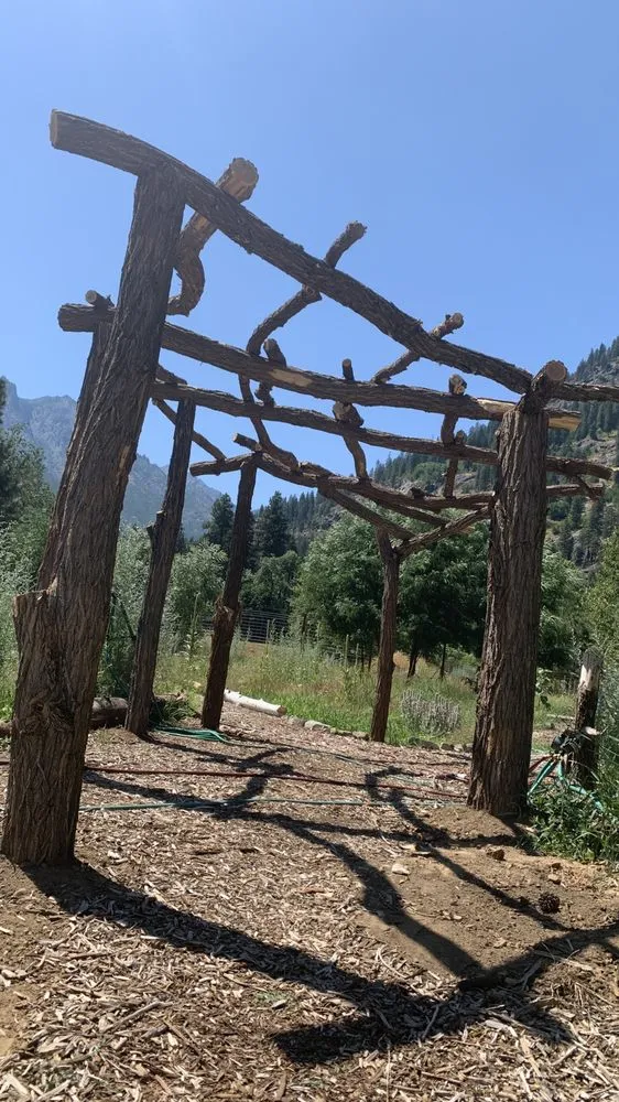 Custom lawn mowing service for year-round maintenance in Leavenworth, WA by Shelter & Seeds