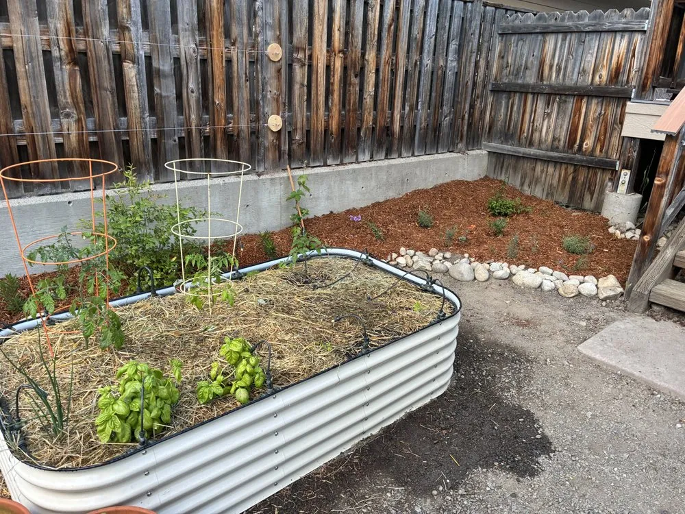 Professional yard cleanup service experts serving Leavenworth, WA - Shelter & Seeds