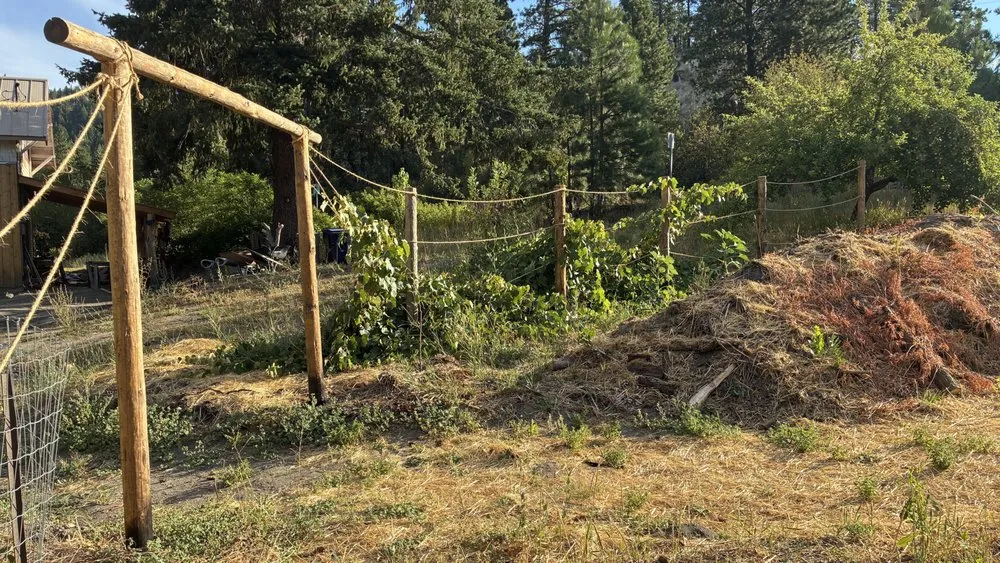 Local garden landscaping for residential properties in Leavenworth, WA by Shelter & Seeds