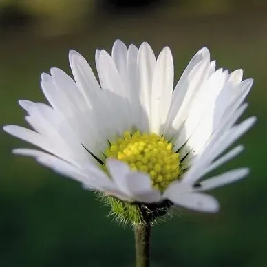 Trusted landscape installation for homes in Fairfield, CT by Shelter Rock Landscaping