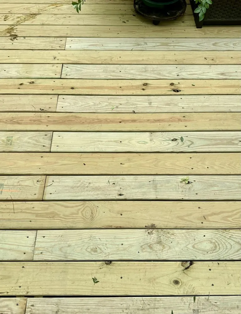 Affordable residential landscaping for year-round maintenance in Cash, TX by Shelton Customs
