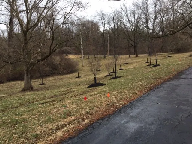 Affordable yard maintenance experts serving Arnold, MO - Shelton Landscape & Maintenance