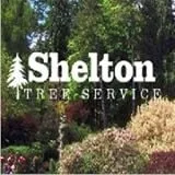 Expert landscape design experts serving Arlington, VA - Shelton Tree Service