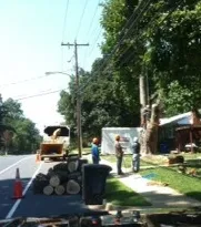 Professional residential landscaping in Arlington, VA - Shelton Tree Service