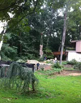 Reliable garden landscaping for year-round maintenance across Arlington, VA - Shelton Tree Service