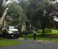 Trusted landscaping services with custom design across Arlington, VA - Shelton Tree Service