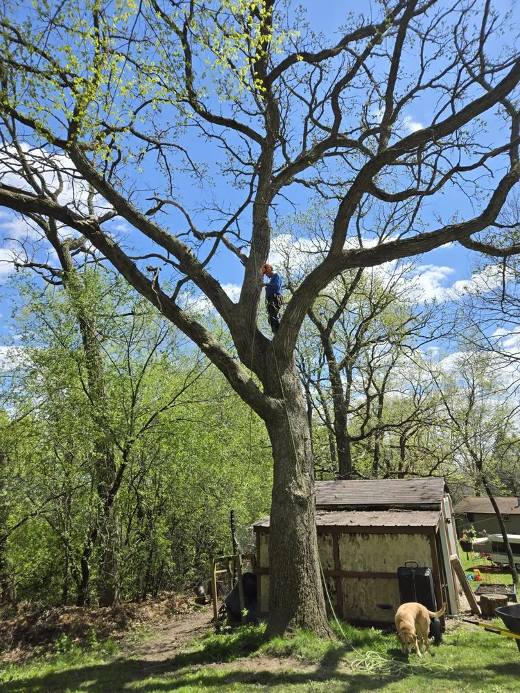 Expert yard maintenance in Milwaukee, WI by Shelton's Seasonal and Home Improvement