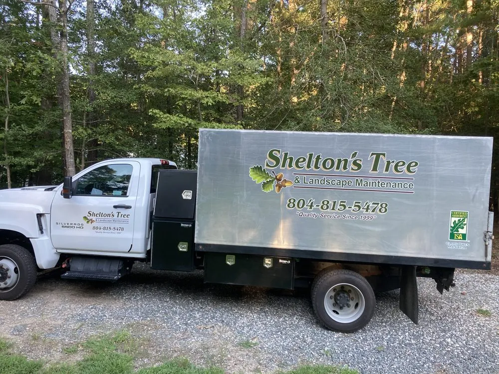 Professional yard maintenance for outdoor upgrades across Gloucester, VA - Shelton's Tree