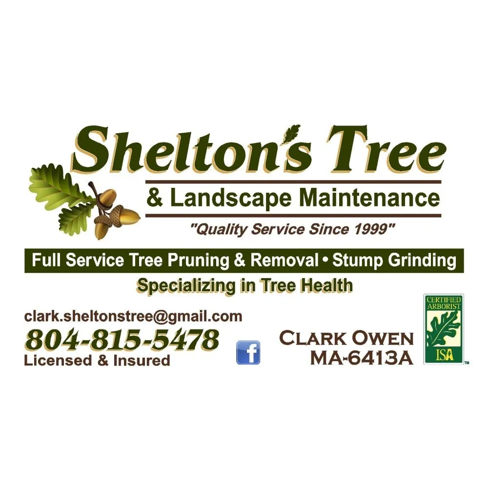 Professional landscaping services experts serving Gloucester, VA - Shelton's Tree