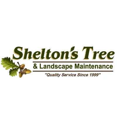 Local outdoor landscaping in Gloucester, VA by Shelton's Tree