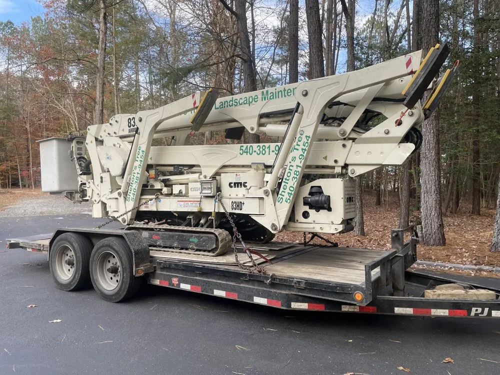 Professional landscape installation with custom design in Gloucester, VA by Shelton's Tree