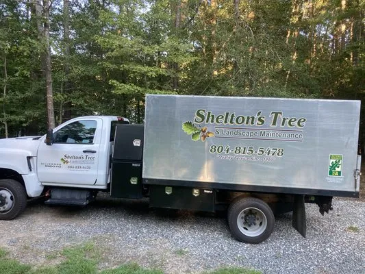 Shelton's Tree Logo